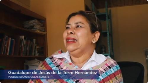 Guadalupe de La Torre Hernández